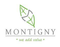 Montigny Investments Limited