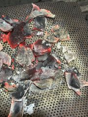 Coconut Shell Charcoal - Image 1