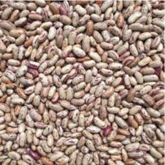 Factory Direct Pinto Beans For Bulk Orders Pinto Beans Maintained With Clean Handling And Professional Supply Support - Image 4