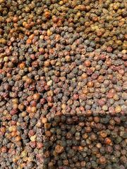 Premium Quality Dried Raw Vietnam Black Pepper 550 G/L 570 G/L Bold Grain Whole Peppercorns Export Grade Standard 500 G/ - Image 1