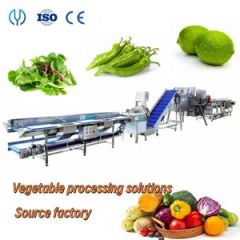 Yido Salad Maker 380V 1.5KW 304SS 100-1000kgH MOQ100 1Y Power 1.5KW Origin China Voltage 380V Trademark Yido Type Salad Maker - Zhucheng Yido Intelligent Technology Co., Ltd.
