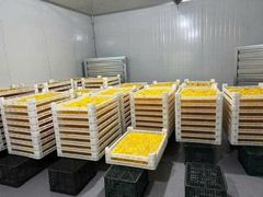 Vietnam Dried Mango – Premium Quality for Export&Wholesale – product photo 3, product detail gallery
