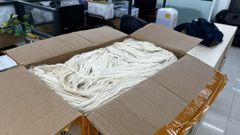 Pineapple Leaf Fiber (PALF) - Image 1