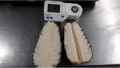 Fresh Pineapple (Pain de Sucre) - Image 3