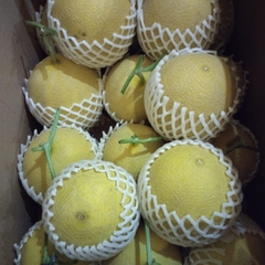 Fresh Melons Quality Round Shape Competitive Supplier Price Low MOQ Supportive Sagami Melon Fresh Fruit Indonesia - Image 2