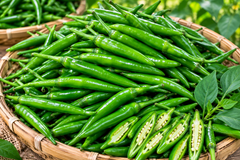 Green Chili – product photo 1, product detail gallery