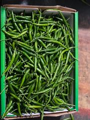 Product thumbnail 13
