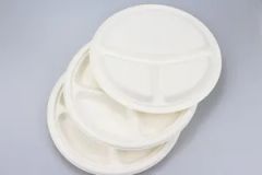 Disposable Bagasse Plate Biodegradable Compostable Sugarcane Tableware Plate - Image 1