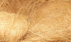 Coconut Fiber Bales Pressed Origin From Indonesia - Image 2