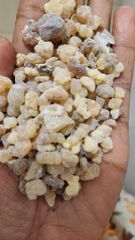 Pic of gum certificate from Enkupanet agro trading plc
