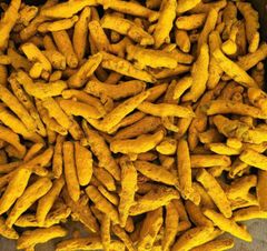 Turmeric Fingers – product photo 2, product detail gallery