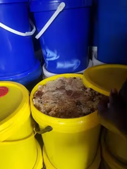 100% Single Orgin Pure Zambian Forest Honey - Image 13