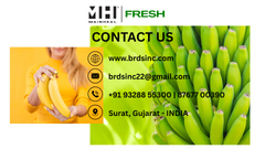 Company – thumbnail 1 of 3, supplier detail gallery