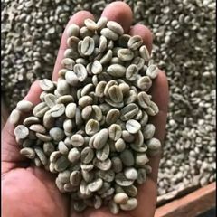 Wholesale and retail organic premium arabica coffee beans Type Washed Origin Tanzania Max. Moisture (%) >8% Species Coffee Arabica - Image 2