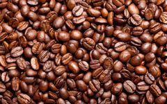 Roasted Arabica Coffee beans Grade AA Form BEANS Shape ROUND Origin Vietnam Moisture 3.71% Variety Arabica Made In Viet Nam - Image 1