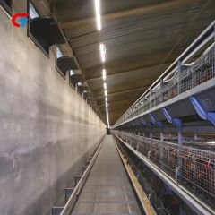Chicken Feeding Factory Making Automatic Battery New Design Poultry Cages Manufacturers - Image 6