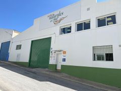 Premium Spanish-Origin 100 % Pure Apricot Kernel Oil Refined For Culinary Use Flexitank - Image 3