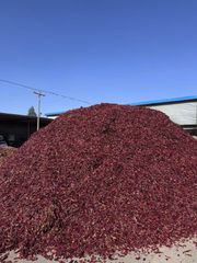 Dried paprika powder 140asta sweet pepper ground 140asta Form Ground Fcl Capacity 24mt Package Size 25kg/bag Pungency Under 700shu - Image 5