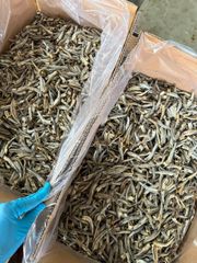 Sea Water Sun-Dried Anchovies – product photo 1, product detail gallery