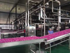 Fruit Vegetable Processing Machine Tunnel Drying Oven Vegetable Dryer Drying Machine - Image 4