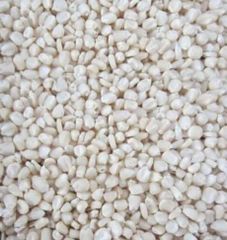 White Maize - Image 2