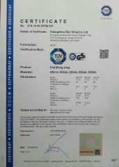 GS of webbing sling certificate from Changzhou Z&J Sling Co., Ltd.