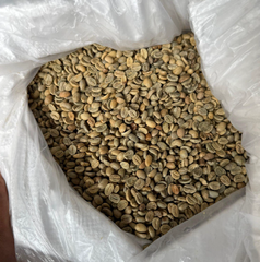 Premium Grade Arabica Kintamani for wholesale export – product photo 2, product detail gallery