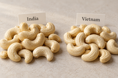 Cashew W240 W320  India /Vietnam - Image 2