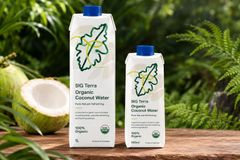 Organic Coconut Water from Indonesia | Private Label, Bulk Supply & Export Solutions for Global Beverage Brands. – product photo 3, product detail gallery