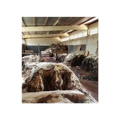 Bulk donkey hides available at competitive prices ideal for wholesalers and exporters - Image 1