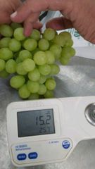 Superior Grapes – product photo 3, product detail gallery
