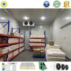 Customizable Freezer Cold Room with 75mm Panel Thickness and Storage - Image 6