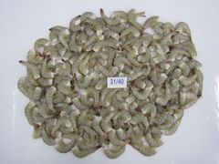 Company – thumbnail 12 of 30, supplier detail gallery
