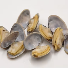 Frozen Cooked Short Neck Clams Premium Seafood Dish Style FROZEN Shelf Life 24 Address China Ingredients no Type - Image 1