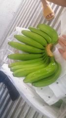 Fruit Texture Thin Skin Flavor Naturally Sweet Size Uniformity Uniform Size Packaging 13–14kg Carton Boxes Packing Type 4-5-6-7-8 Hands Per - Image 6