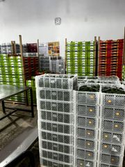 Fresh hass Avocado – product photo 3, product detail gallery