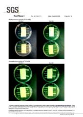 Anti-bacteria certificate from GUANGDONG ZHIDA TEXTILES DECORATION CO., LTD.