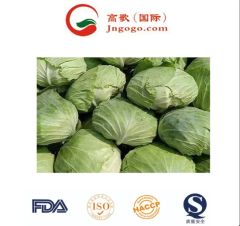 Organically Grown Chinese Green Cabbage Size 1.5kg Kind Fresh Color Green Origin China Trademark GOGO HS Code - Image 6