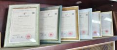 certificate certificate from Wenzhou Wangxu International Trade Co., Ltd