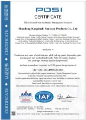 ISO 13485 certificate from Shandong Rui Haisen International Trade Co., Ltd.