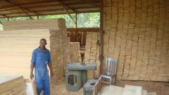 Ayous Texture Smooth Weight Lightweight Max. Moisture (%) 16 Sourcing Sustainable Workability Excellent Place of Origin - Image 2