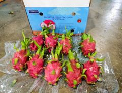 Dragon Fruit - Image 1