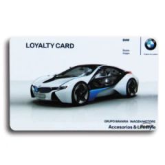 Custom CYMK Colors Print Membership ID Chip VIP Cards for Club - Image 1