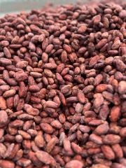 Best Quality Cocoa Beans Dried Raw Cacao Fermented Cocoa Beans at Wholesale Price - Image 4