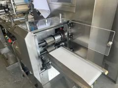 Pillow Type Glove Flow Packing Machine - Image 5