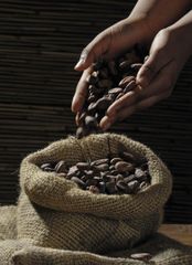 Company – thumbnail 1 of 3, supplier detail gallery