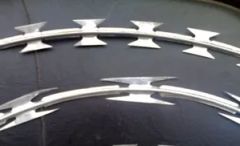 Top Quality Low Price Concertina Razor Barbed Wire - Image 1