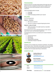 Grade 1 Sugar Beans - Image 4