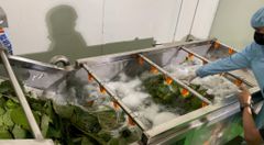 Factory and warehouse – thumbnail 3 of 3, supplier detail gallery