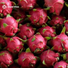 Fresh Dtagon fruit – product photo 5, product detail gallery
